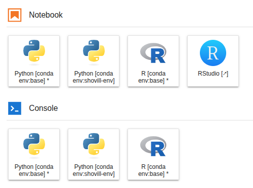 **notebook env**
