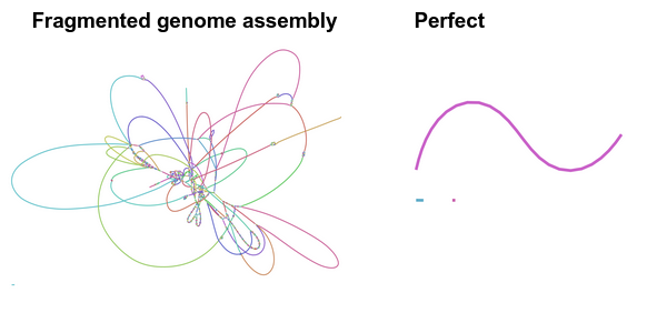 Assembly graph