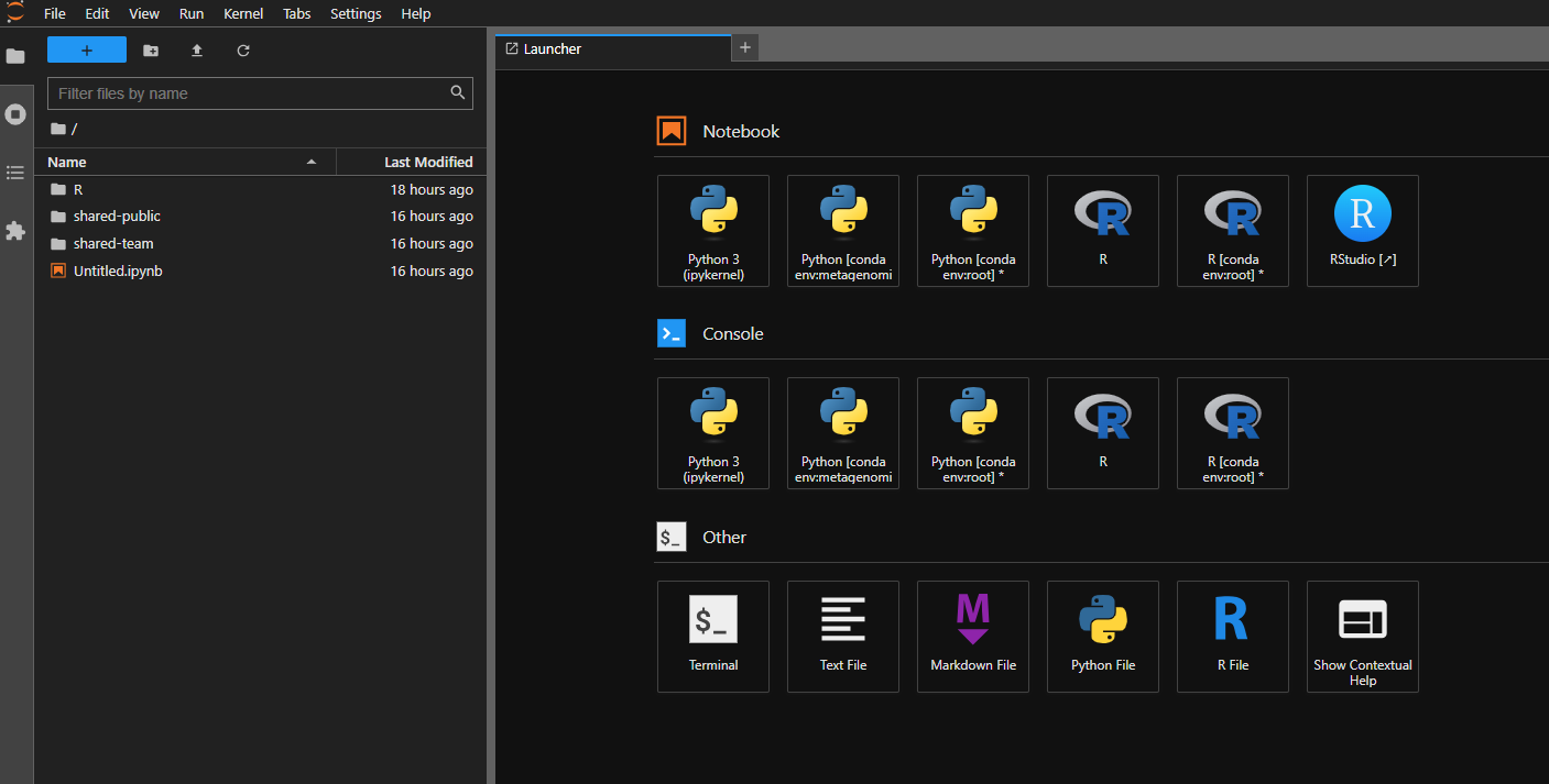 jupyterhub dashboard