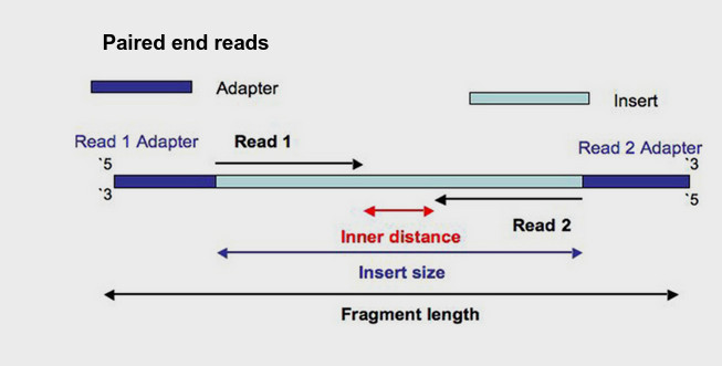 read overview